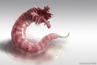bore worm.jpg