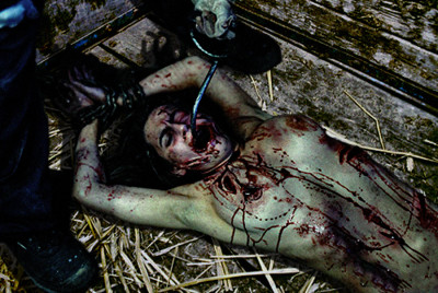 Harry had many worries: worries about his marriage, worries about his farm, worries about his bankruptcy. The last thing he needed was a fucking bank officer nosing around in his barn. . .