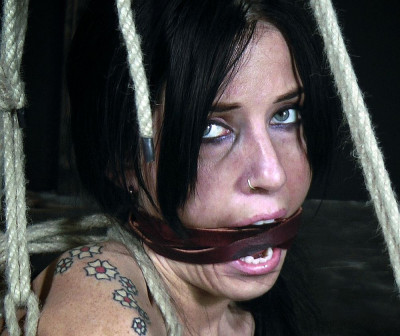 Regard.902.jpg