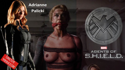 palicki2.jpg