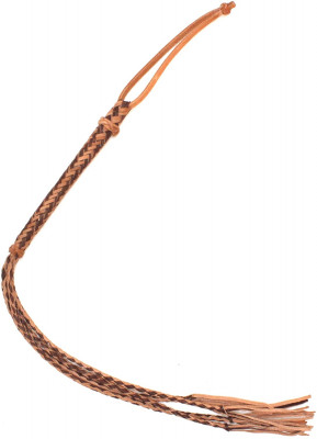 71z1wyd2zdL._AC_SL1500_.jpg