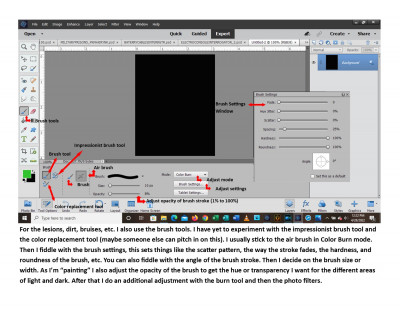 Brush Tool Photo Shop Elements 2021