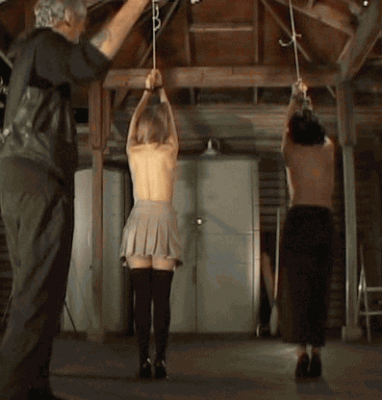 90683886.gif
