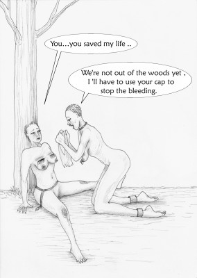 250.JPG
