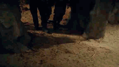 carrying-2.gif