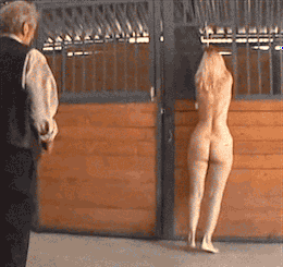 014.gif