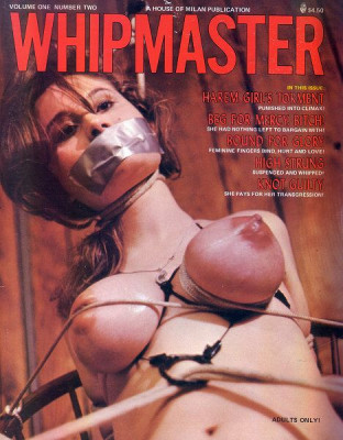 The famous or infamous wire bra.