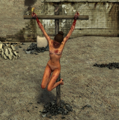54223.jpg
