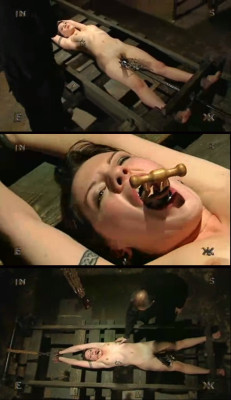 Insex_ToughGirl-1_rack_comp1.jpg