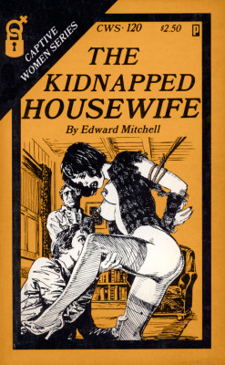 cws-120-the-kidnapped-housewife-by-edward-mitchell-eb.jpg