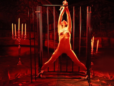 tied-up-whore-waiting-in-cage-her-master-17070-bdsm.png
