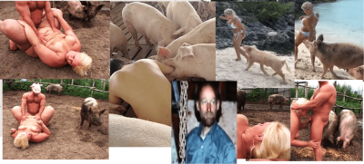 Pigs and girls.png