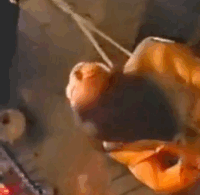 Asian well treated 17-titHang.gif