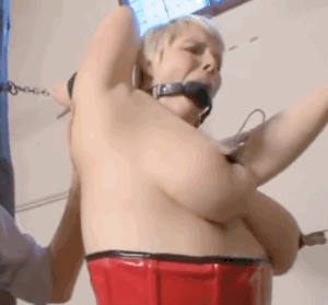 Various short clips 60-caneTit.gif