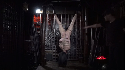 china_electro_upsidedown whipping.jpg
