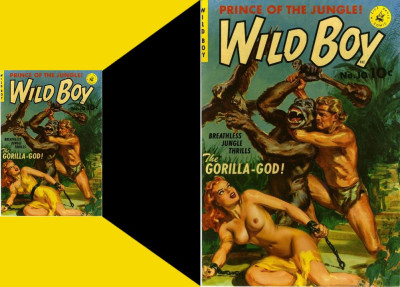 wild boy 2.jpg