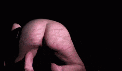 ezgif.com-optimize.gif