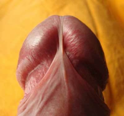 1A37E40.jpg