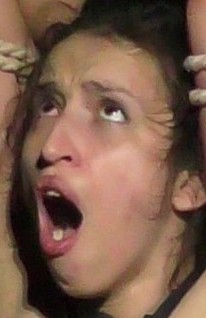 CDI shk whp please no.jpg