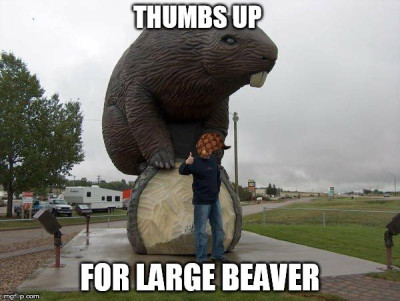 beaver af72f8d89421a786394bea96fb029adc.jpg