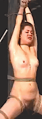 VSC131 Insex-2.gif