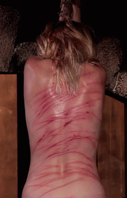 sb.gif