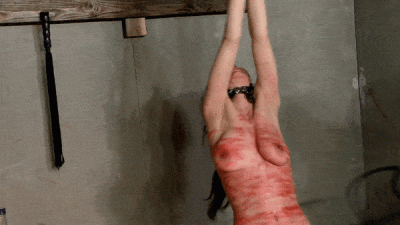703396447.gif