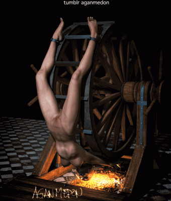Aganwheel3.gif