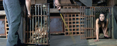 SLAVE.1303.jpg