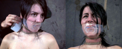 GAG.2773.jpg