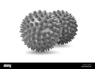 two-gray-spiny-massage-balls-isolated-on-white-concept-of-physiotherapy-or-fitness-closeup-of-a-colorful-rubber-ball-for-dog-teeth-on-a-white-color-2JJ60GF.jpg