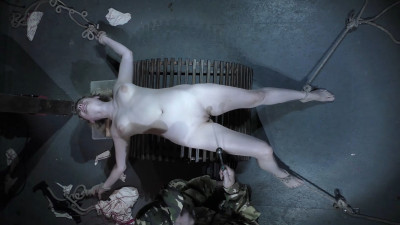 Moth_SI_27.30penetrateelectro.jpg