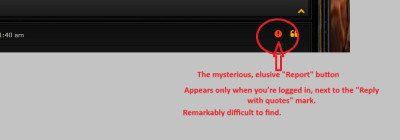 Report button.jpg