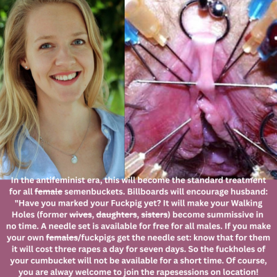 Antifeminism mysogyny treatment for all feminist fuckholes fuckpigs.png