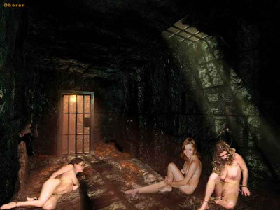 They Burn at Sunset.jpg