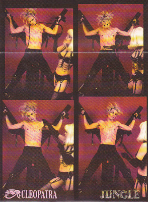 Various artists 'The Whip' (1993) Jungle Records FREUD CD 043, Jungle Records 852 393 UK & France-d.jpg