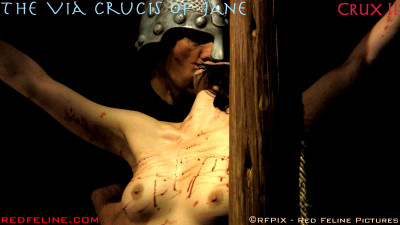 viacrucisofjane02pic223.jpg