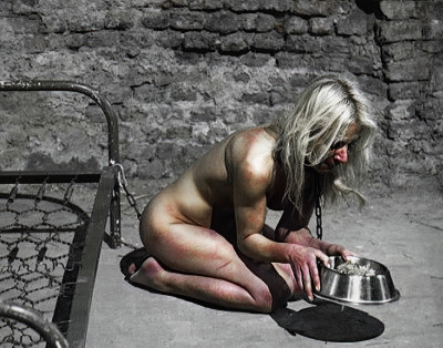 Eat dog food or starve