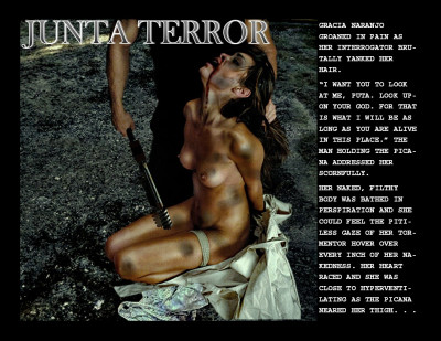 From Sex and Submission